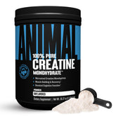 Animal Creatine Monohydrate Powder front view packaging