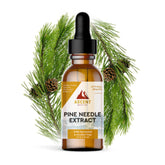 Ascent Nutrition Eastern White Pine Extract 28g tincture front view