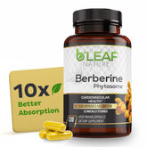 B'LEAF NATURE Berberine Phytosome Supplement 60 capsules front view