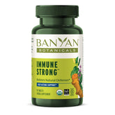 Banyan Botanicals daily wellness Strong Turmeric Supplement 100g front view