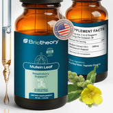 BRIOTHEORY Mullein Leaf Extract Tincture 1000mg front view
