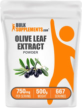 BulkSupplements Olive Leaf Extract Powder 500g front view