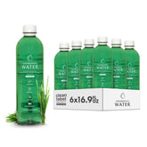 Chlorophyll Water bottle front view with lemon and spearmint