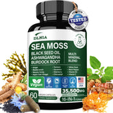 DLNIA Sea Moss All-in-1 Supplement capsules front view