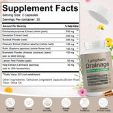 EOQIFJM Echinacea Herbal Supplement 60 Capsules front view