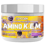 Evogen Amino Acids BCAAs 608g front view