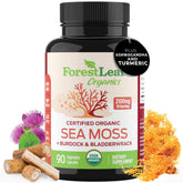 ForestLeaf Organic Sea Moss Capsules 750mg front view