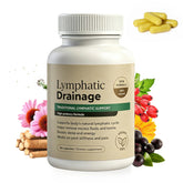 Generic Echinacea Lymphatic Support Supplement front view