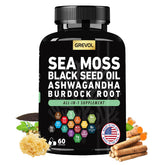 Grevol Sea Moss Capsules bottle front view