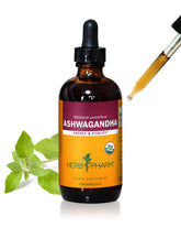 Herb Pharm Ashwagandha Extract 4 oz bottle front view