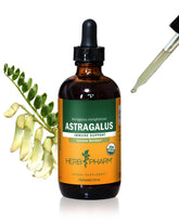 Herb Pharm Astragalus Extract 4 Ounce liquid bottle front view