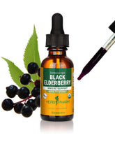 Herb Pharm Black Elderberry Extract 28g liquid bottle front view