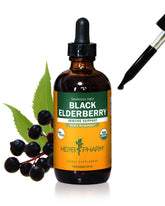 Herb Pharm Black Elderberry Liquid Extract 113g front view