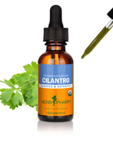 Herb Pharm Cilantro Extract liquid herbal supplement bottle front view