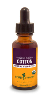 Herb Pharm Cotton Extract Echinacea 28g front view