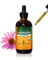 Herb Pharm Echinacea Liquid Extract 113g front view
