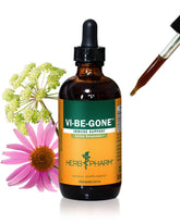 Herb Pharm Echinacea Liquid Extract 113g front view