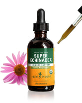 Herb Pharm Echinacea Liquid Supplement 2 oz front view