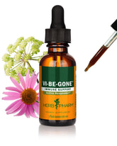 Herb Pharm Echinacea & Lomatium Tincture 1 Oz front view