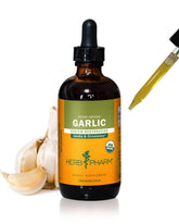 Herb Pharm Garlic Liquid Extract 113g front view
