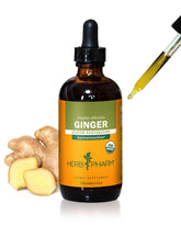 Herb Pharm Ginger Extract Organic Liquid 4 oz front view