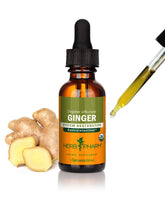 Herb Pharm Ginger Extract Tincture front view with label