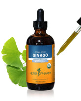 Herb Pharm Ginkgo Biloba Liquid Extract 113g front view