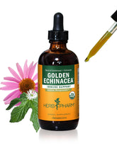 Herb Pharm Golden Echinacea Liquid Extract 113g front view