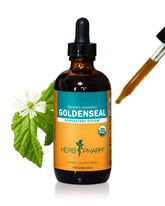 Herb Pharm Goldenseal Extract 4 Ounce front view