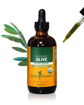 Herb Pharm Olive Leaf Extract 4 Ounce liquid bottle front view