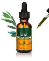 Herb Pharm Olive Leaf Extract front view packaging