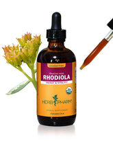 Herb Pharm Rhodiola Root Liquid Extract 113g front view