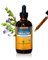 Herb Pharm Skullcap Alcohol-Free Liquid Herbal Extract 4 Fl Oz front view