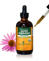 Herb Pharm Super Echinacea 113g front view bottle