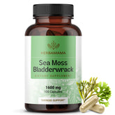 HERBAMAMA Sea Moss Capsules 100g front view