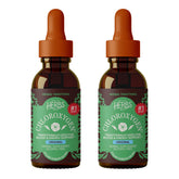 Herbs Etc. ChlorOxygen Chlorophyll Concentrate Mint Liquid front view