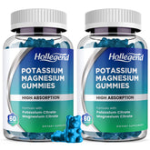 HOLLEGEND Potassium Magnesium Gummies front view with packaging