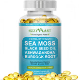 HZZYPLANT Sea Moss Softgels front view with packaging