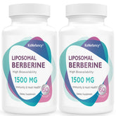 KoNefancy Berberine HCL 1500mg supplement bottle front view