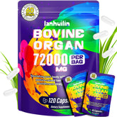 lanhuilin Female-Focused Beef Organ Complex front view with capsule bottle