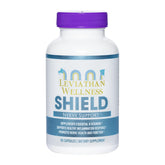 Leviathan Wellness Acetyl L-Carnitine 1000mg 90 capsules front view