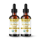 LIQUIDHEALTH Mullein Leaf Extract Drops 1000mg front view