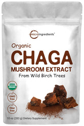 Micro Ingredients Organic Chaga Mushroom Extract Powder front view