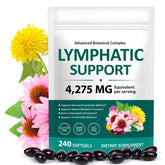 MXCZBSM Echinacea Lymphatic Support 21-in-1 Herbal Blend front view