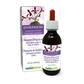 Naturalma Echinacea Umckaloaba Liquid Extract 180g front view
