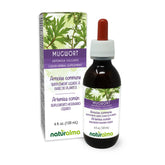 Naturalma Mugwort Liquid Herbal Supplement bottle front view