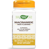 Nature's Way Niacinamide Vitamin B3 Non-Flushing 95g front view