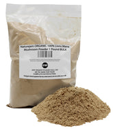 Naturejam Lion's Mane Mushroom Powder 454g front view