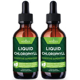 NEW AGE Chlorophyll Drops 2 Pack front view