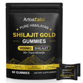 NIFEISHI Himalayan Shilajit Gummies front view with packaging